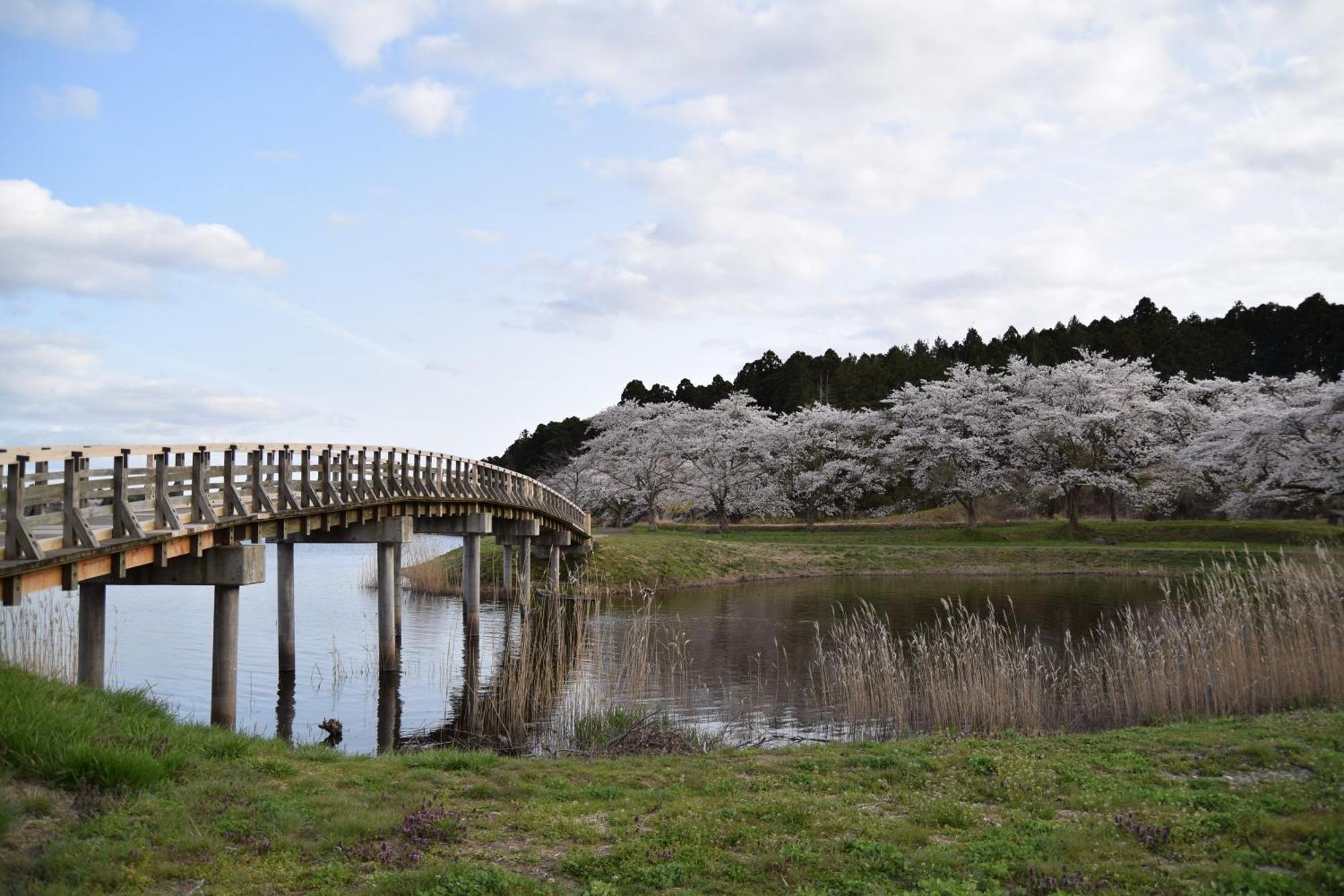 Minami Sanriku Hotel Kanyo Shizugawa Exteriör bild